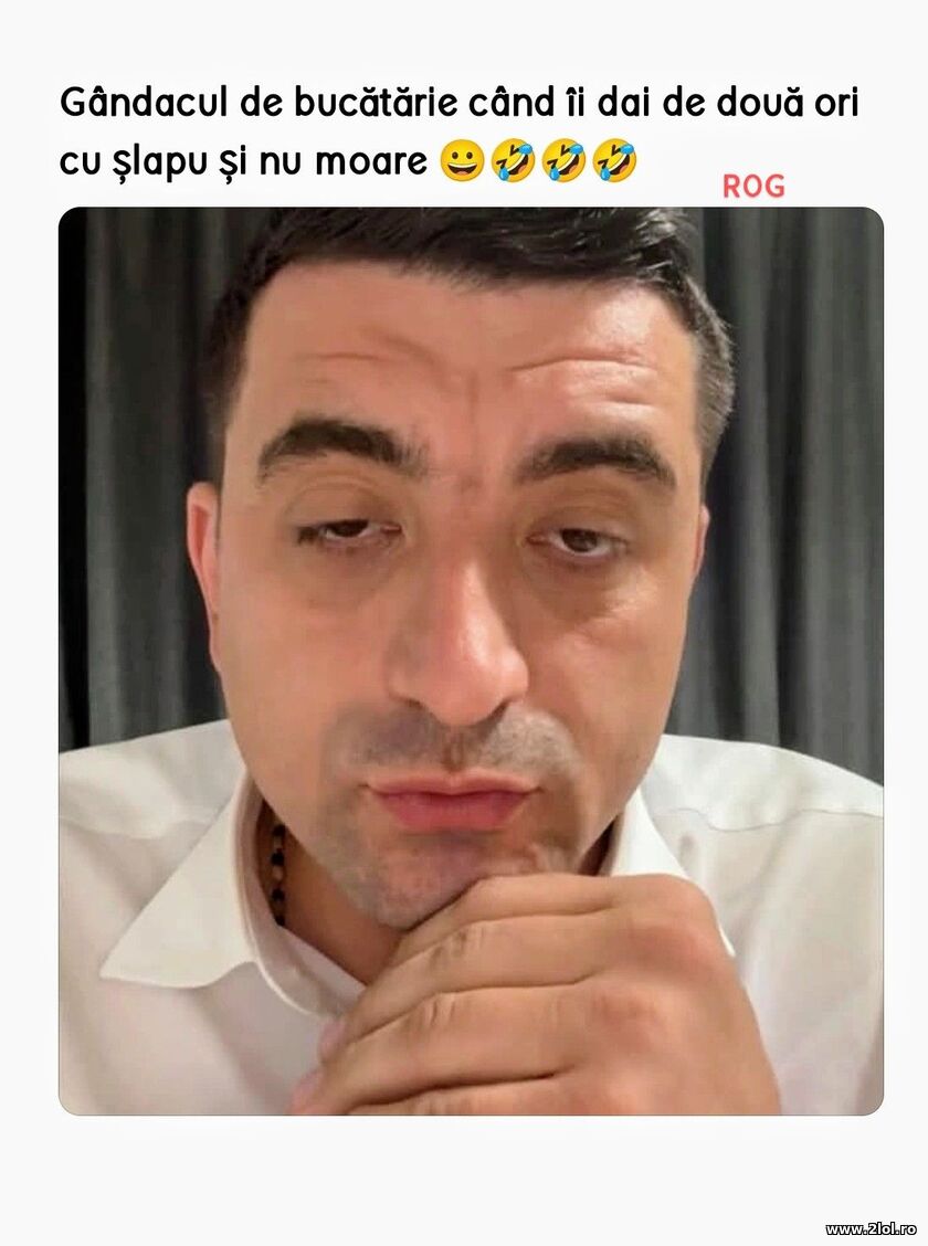 Gandacul de bucatarie | poze haioase