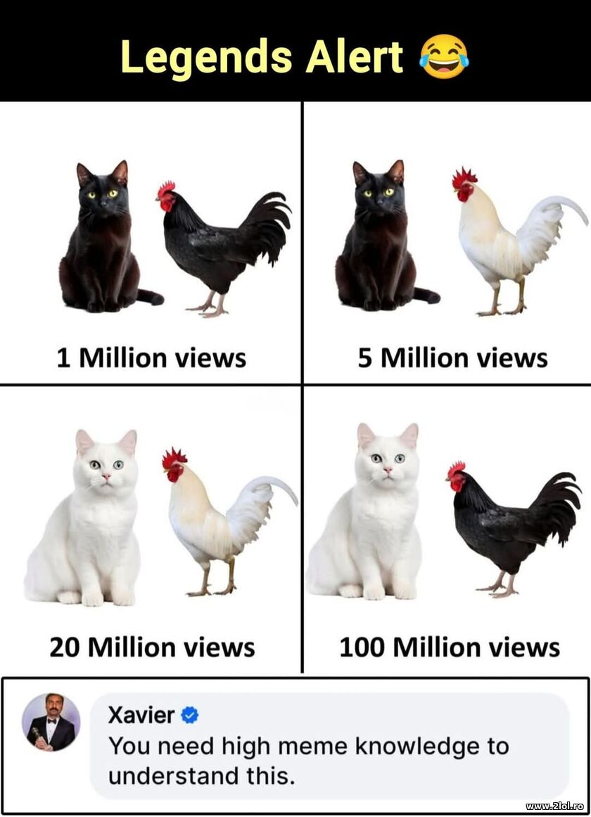 Legends alert | poze haioase