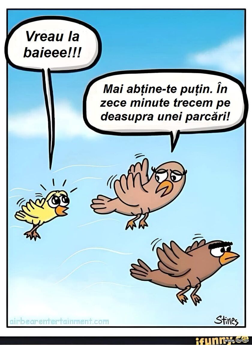 Vreau la baie | poze haioase