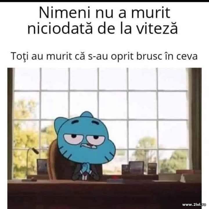 Nimeni nu a murit de la viteza | poze haioase