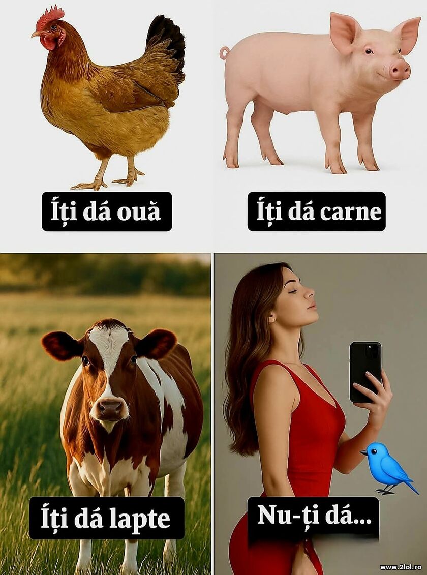 Iti da si nu-ti da | poze haioase