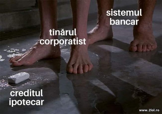 Tanarul corporatist | poze haioase