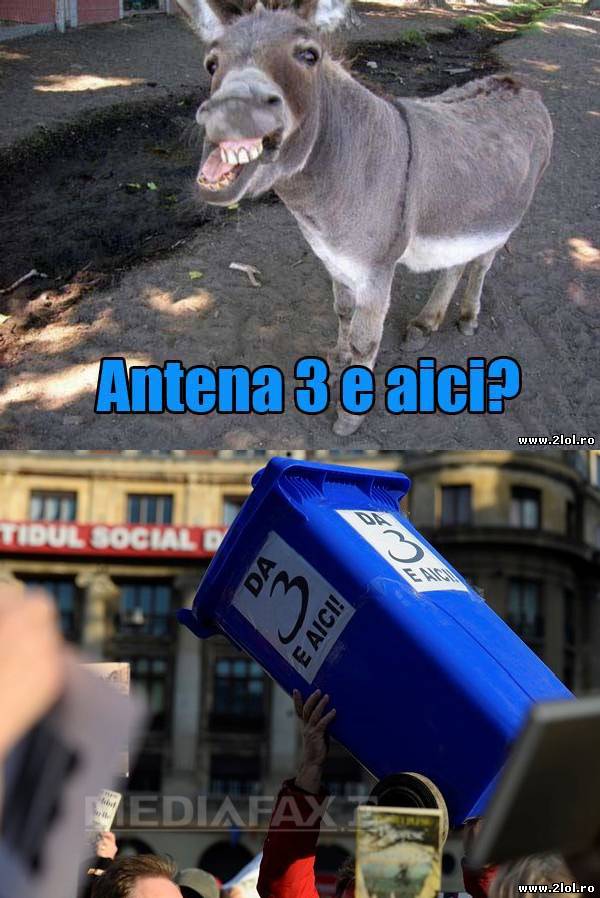 Da, Antena 3 e aici | poze haioase