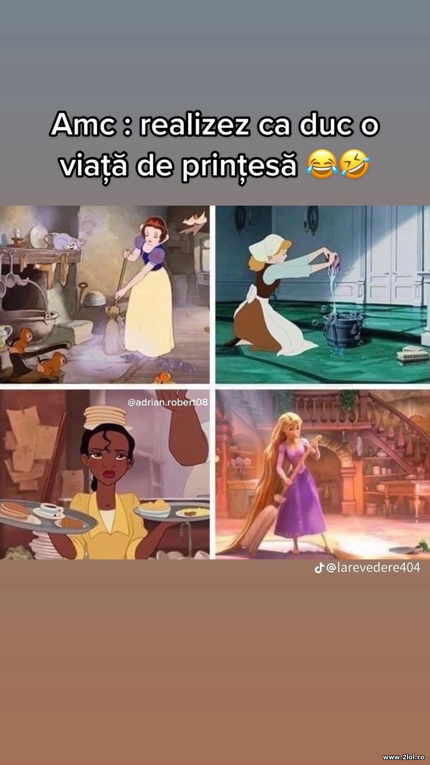 Amc realizez ca duc o viata de printesa | poze haioase