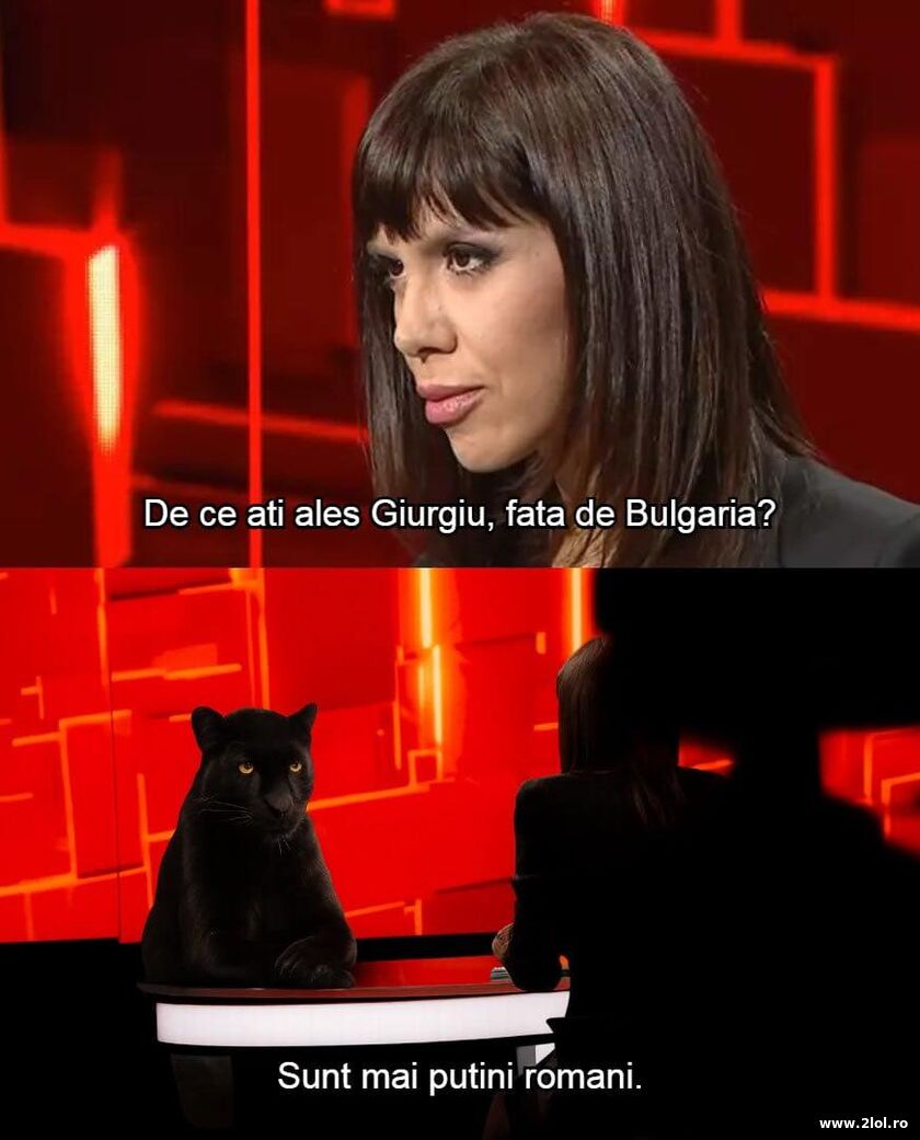 Pantera din Bulgaria | poze haioase