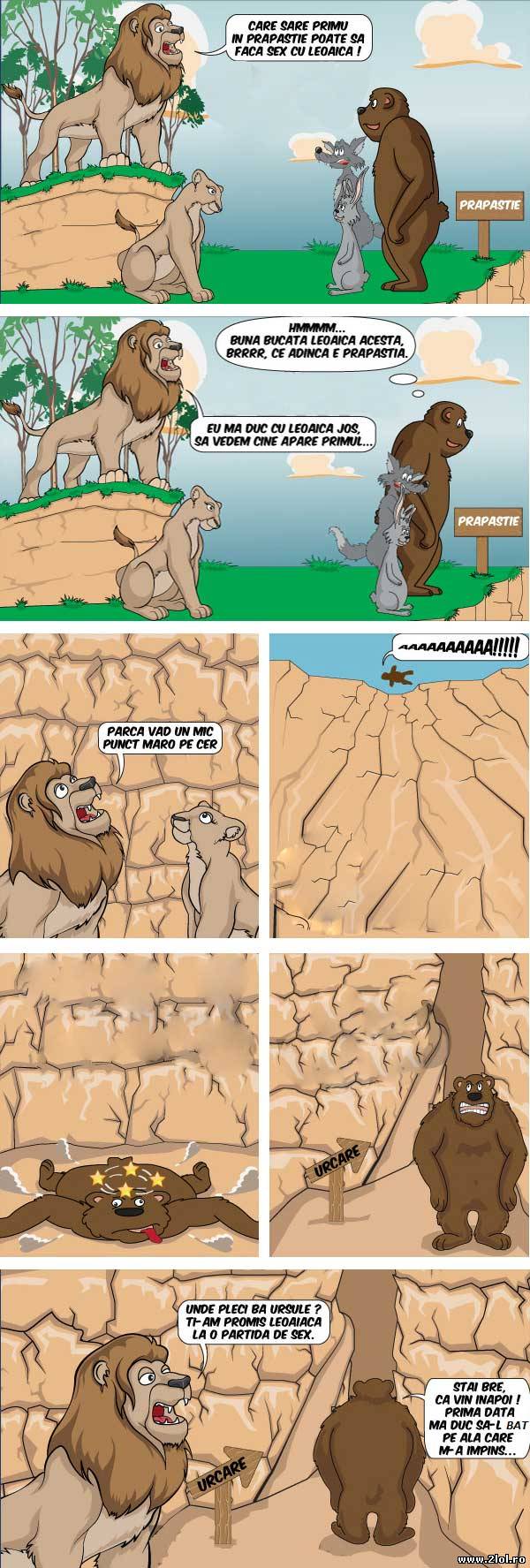 Care sare primul în prăpastie poate să facă | poze haioase