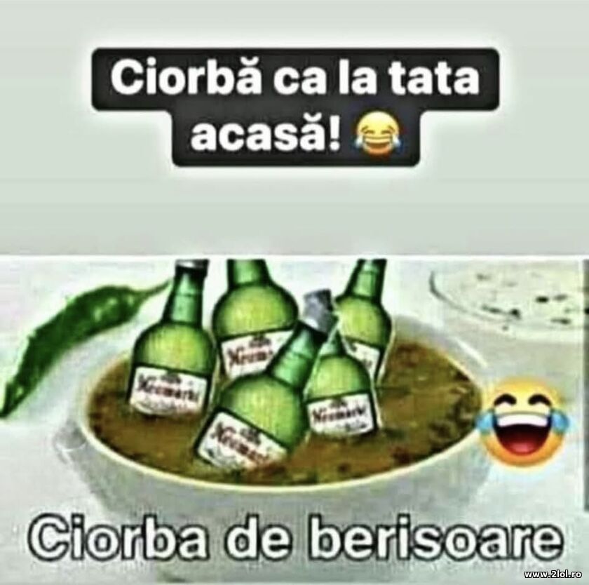 Ciorba de berisoare | poze haioase