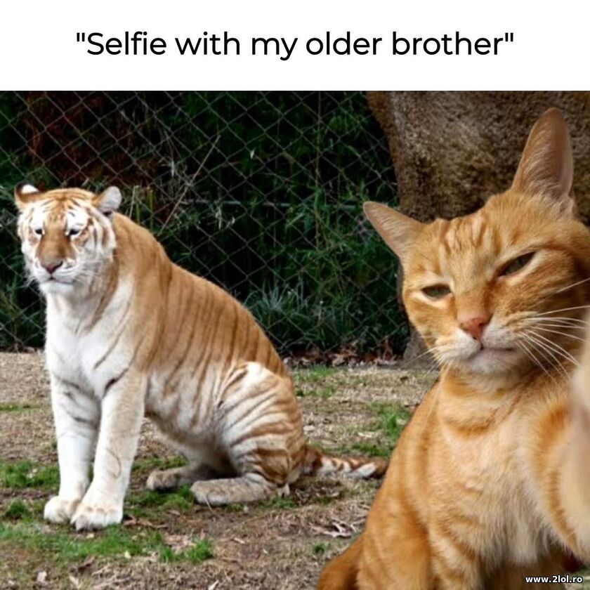 Selfie with my older brother | poze haioase