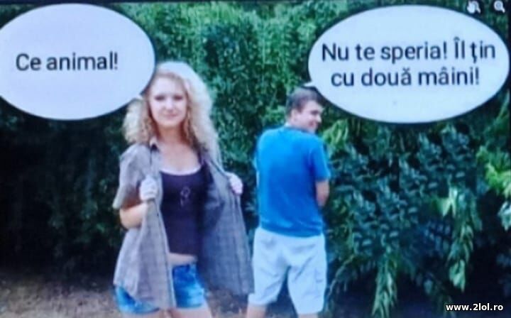 Ce animal | poze haioase