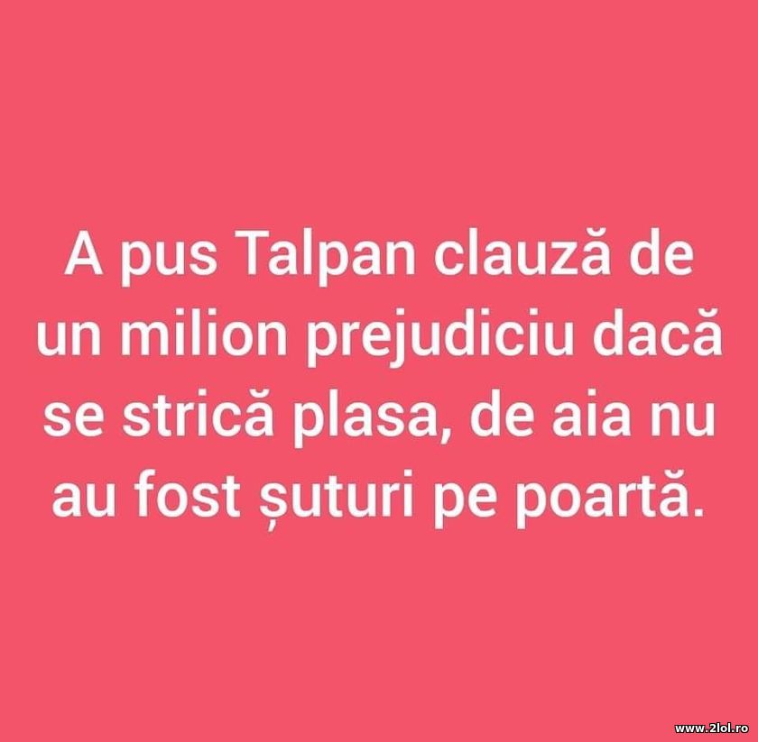 N-au fost suturi la poarta - Ghencea - Talpan | poze haioase