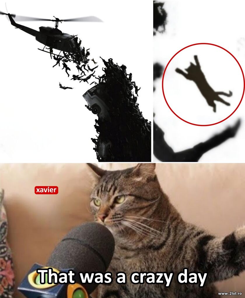 That was a crazy day | poze haioase