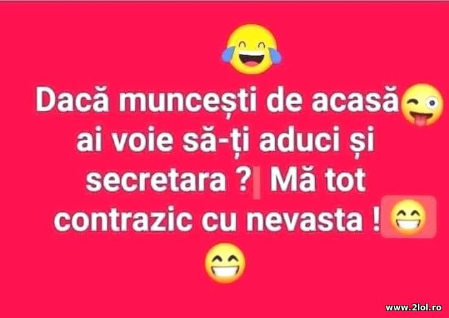 Daca muncesti de acasa. Secretara? | poze haioase