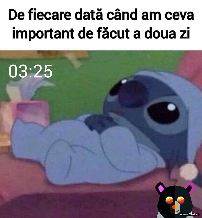 De fiecare data cand am ceva important de facut | poze haioase