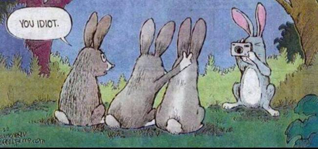 Așa se întâmplă când nu gândești | poze haioase