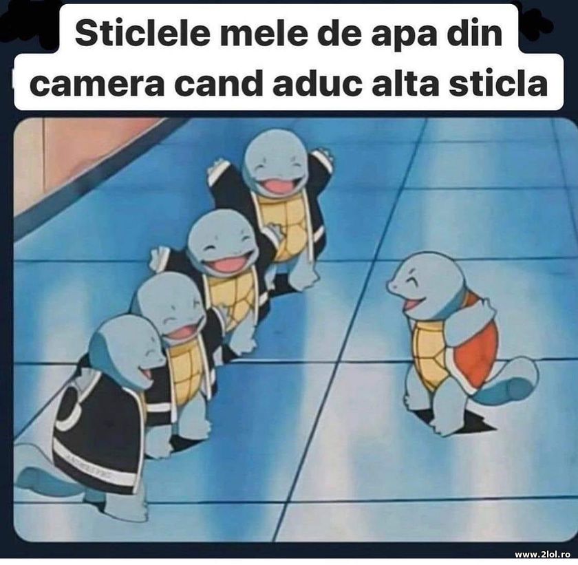 Sticlele mele de apa cand aduc alta sticla | poze haioase