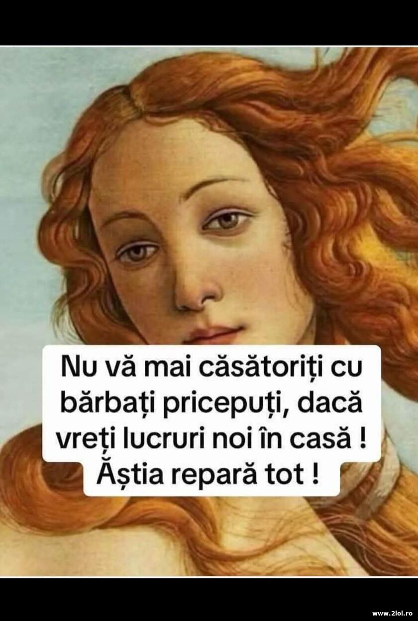 Nu va mai casatoriti cu barbati priceputi | poze haioase