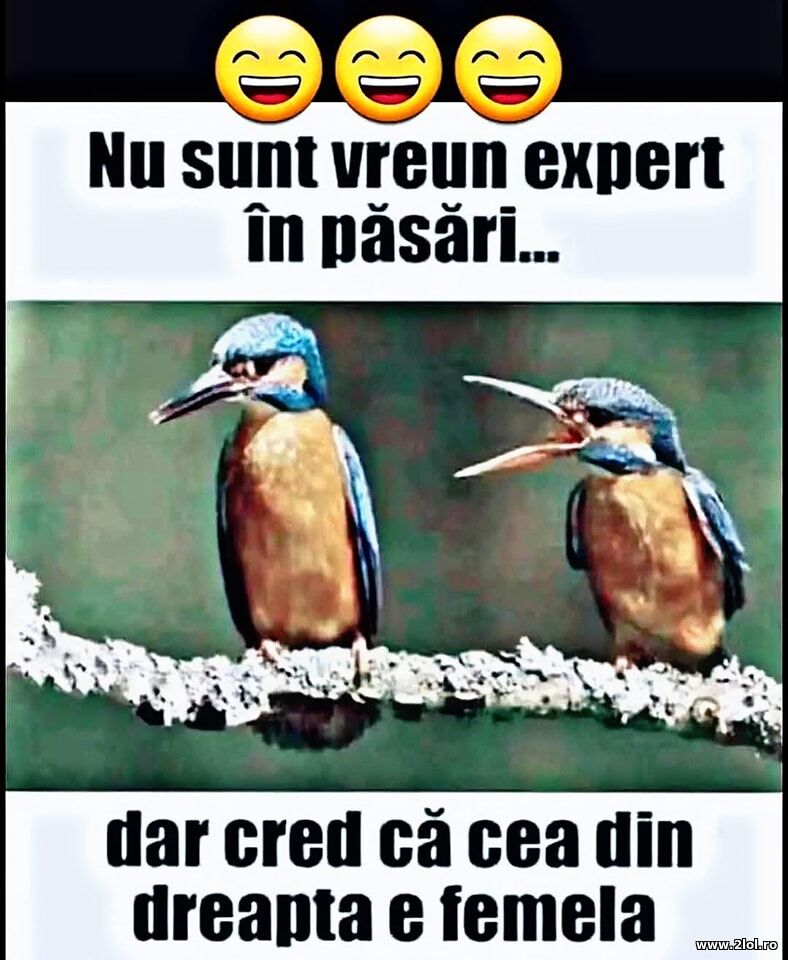 E femela? | poze haioase