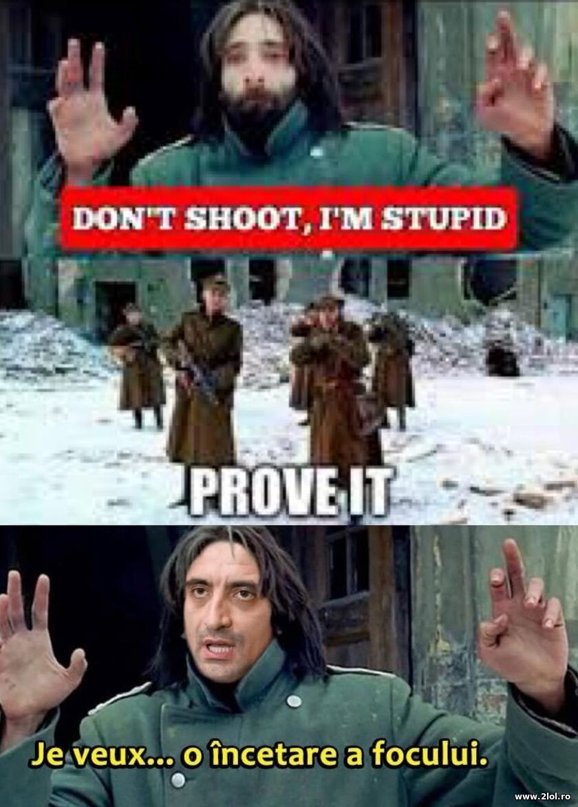 Don't shoot | poze haioase