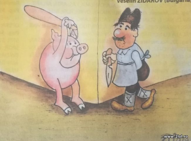 Porcul e preventiv | poze haioase