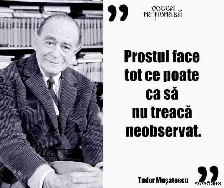 Prostul face tot ce poate sa sa nu treaca neobserv | poze haioase