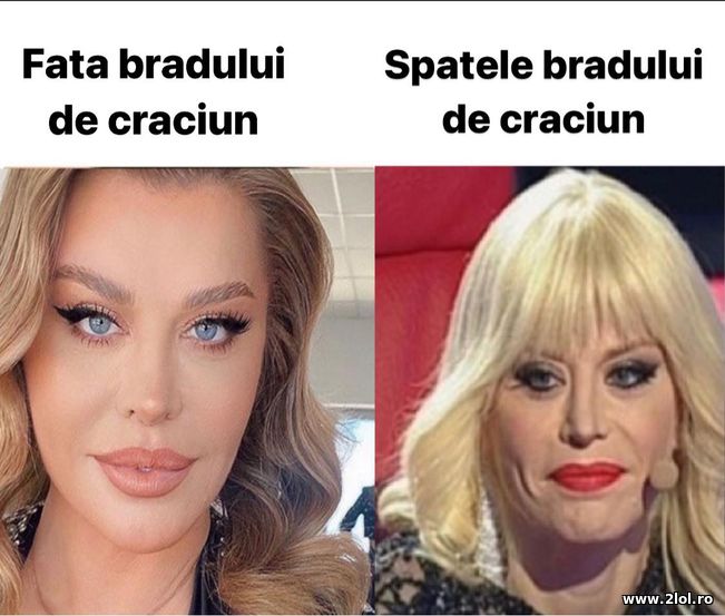 Fata si spatele bradului de Craciun | poze haioase