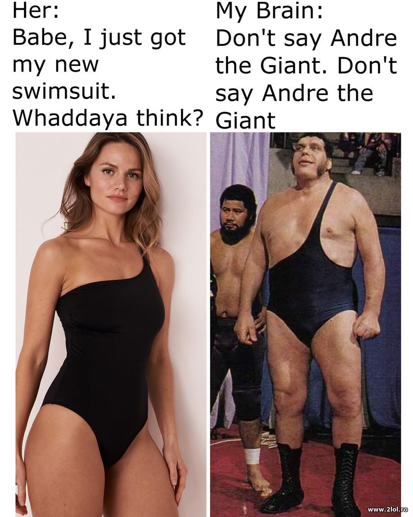Babe, I just got a new swimsuit - Andre the Giant | poze haioase