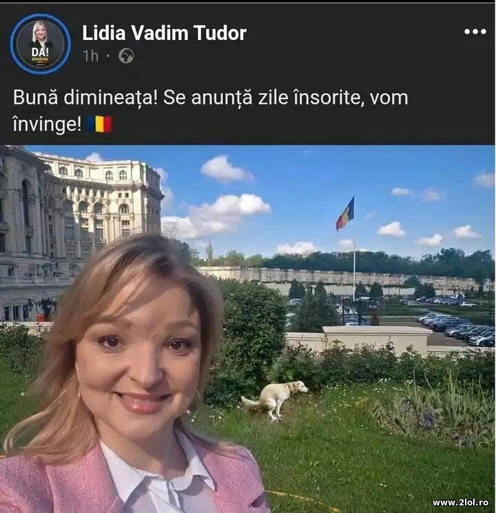 Vom invinge! | poze haioase