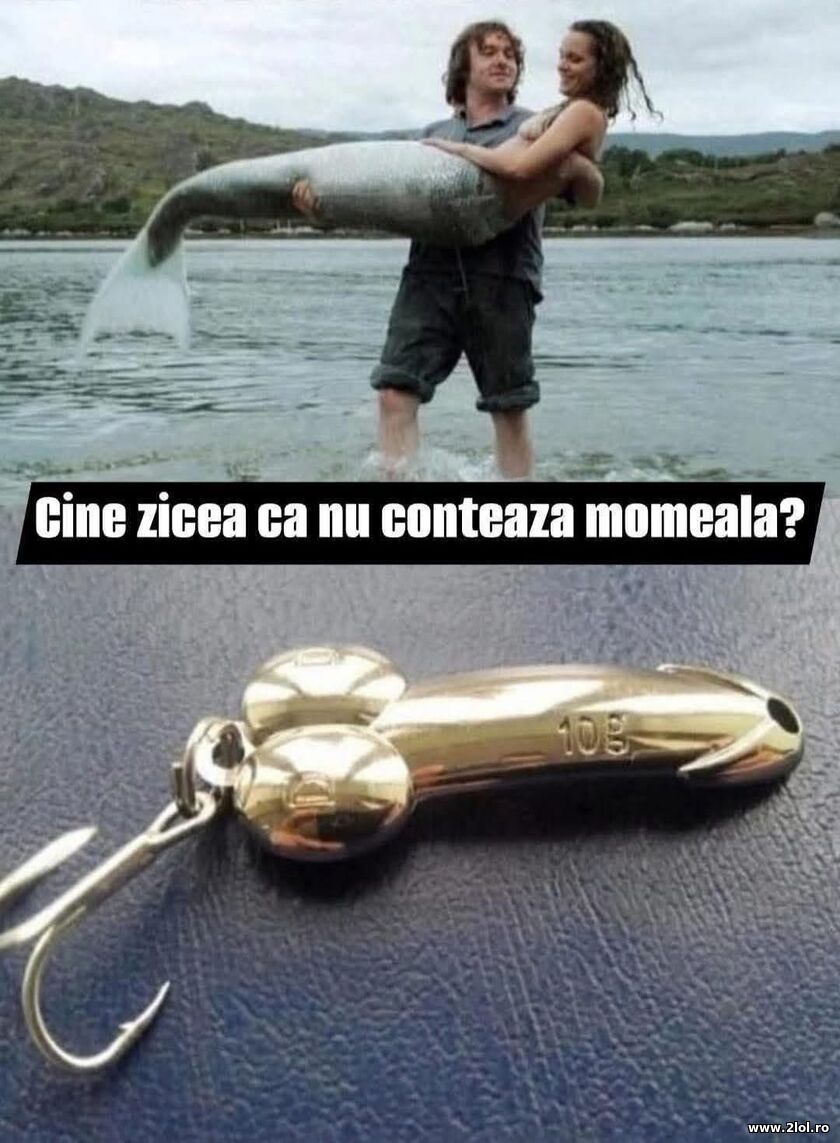 Momeala conteaza | poze haioase