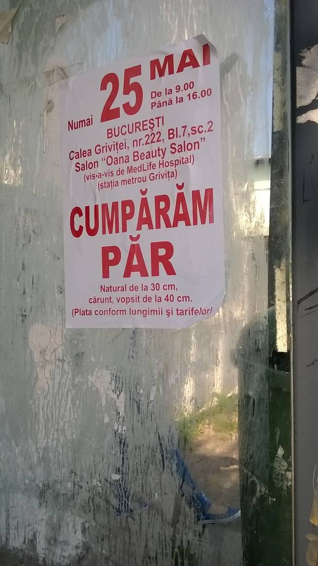 De ce nu? | poze haioase