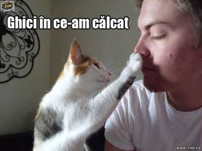 Ghici în ce am călcat | poze haioase