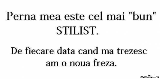 Cel mai bun stilist | poze haioase