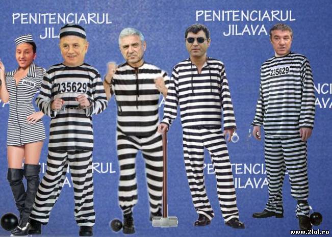 Și-au luat costume noi | poze haioase