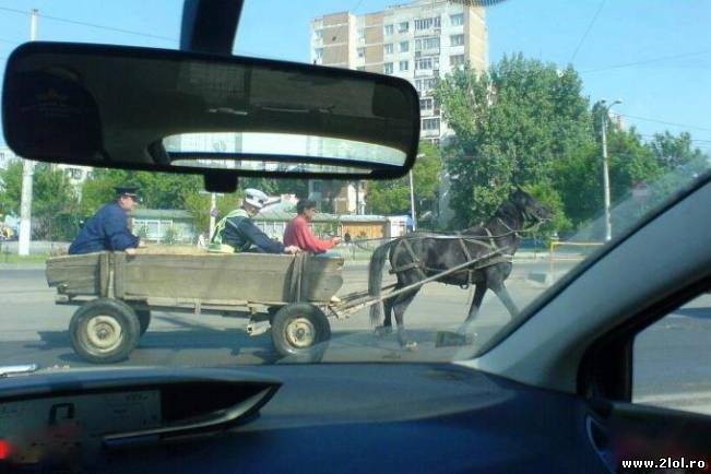 Consecințele scumpirii benzinei | poze haioase