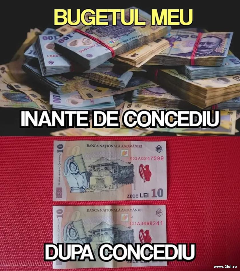 Bugetul meu inainte de concediu si dupa | poze haioase
