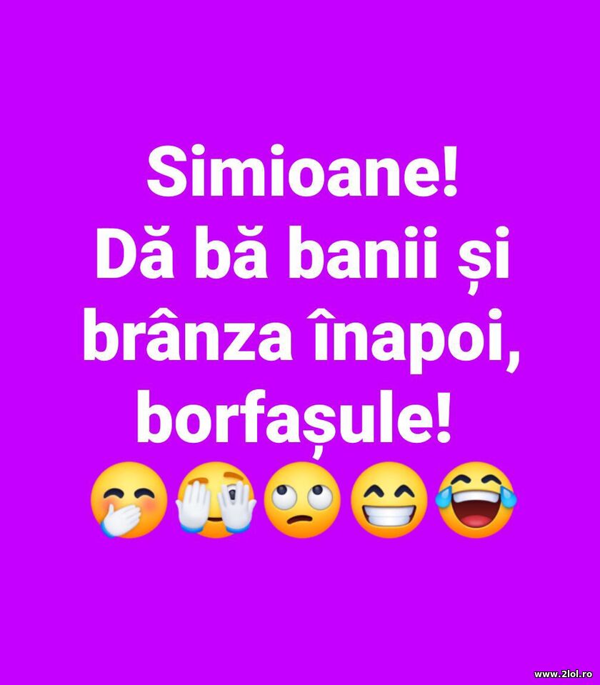 Simioane! Da ba banii si branza inapoi | poze haioase