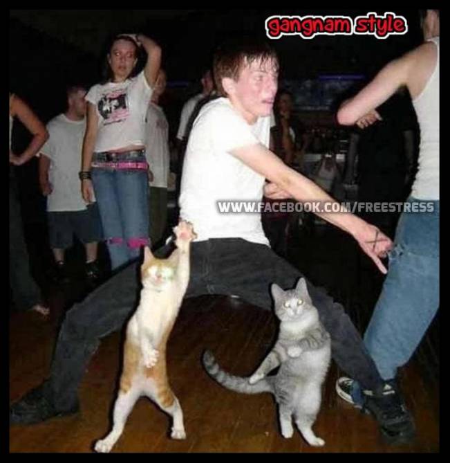 party | poze haioase