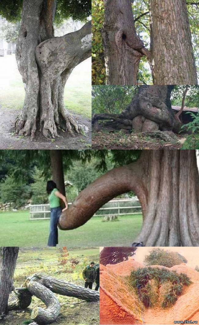 Natura-i perversă | poze haioase