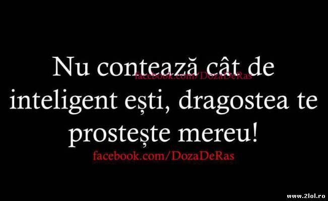 Nu conează cât de inteligent ești | poze haioase
