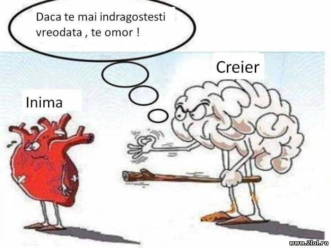 Cel mai vechi război | poze haioase