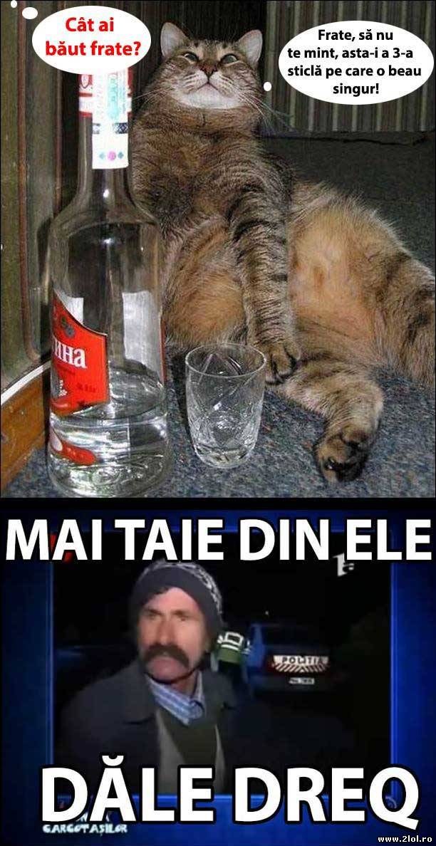 Când întrebi un prieten cât a băut | poze haioase