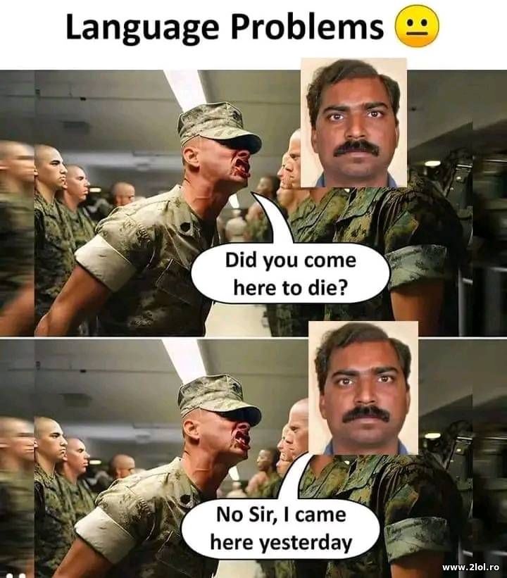 Did you come here to die? | poze haioase