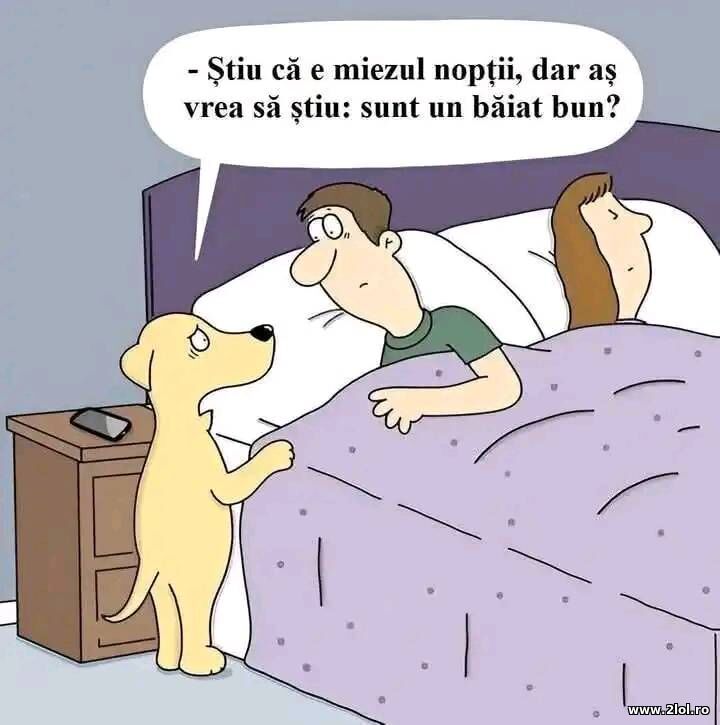 Dar vreau sa stiu | poze haioase