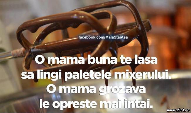 O mamă bună te lasă să lingi paletele mixerului | poze haioase