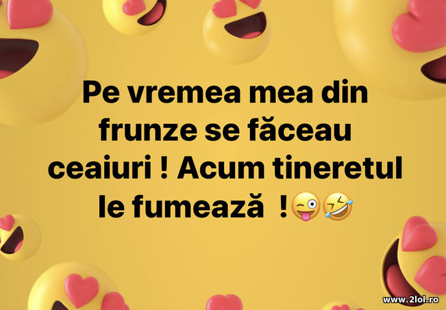 Pe vremea mea din frunze se faceau ceaiuri | poze haioase
