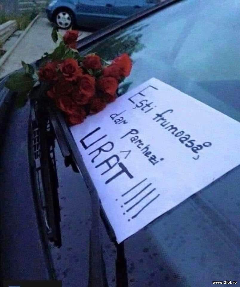 Esti frumoasa, dar | poze haioase