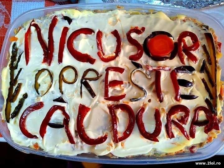 Nicusor opreste caldura | poze haioase