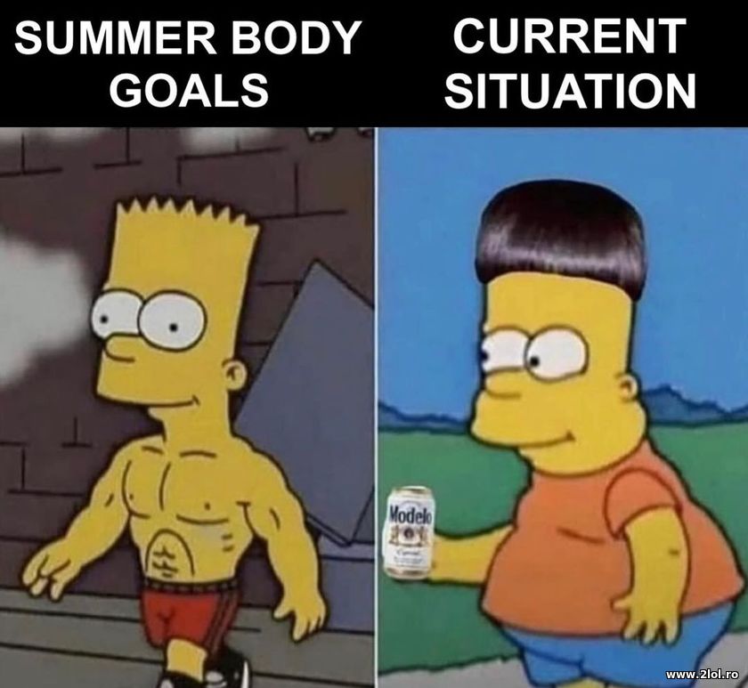 Summer body goals | poze haioase