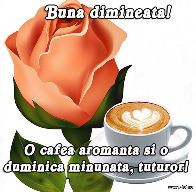 O duminica minunata | poze haioase