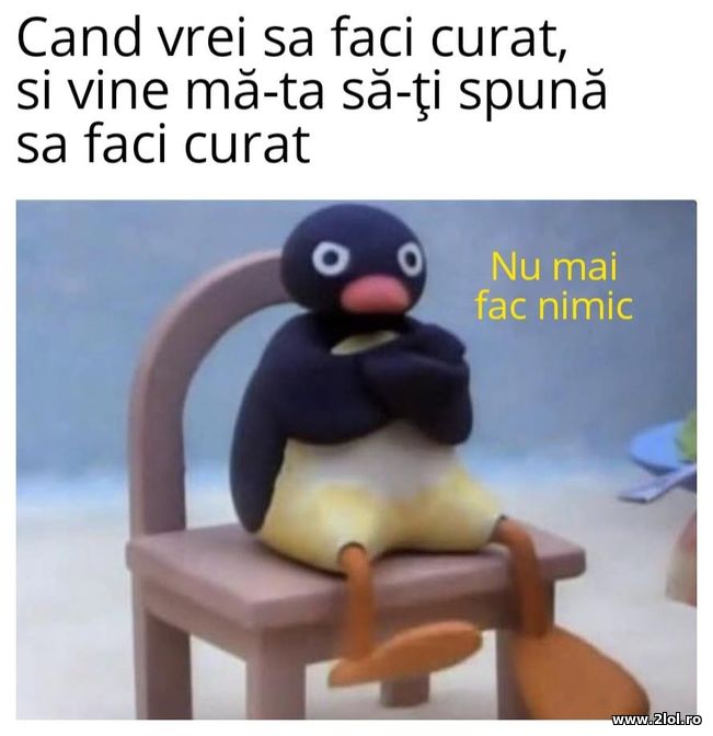 Cand vrei sa faci curat | poze haioase
