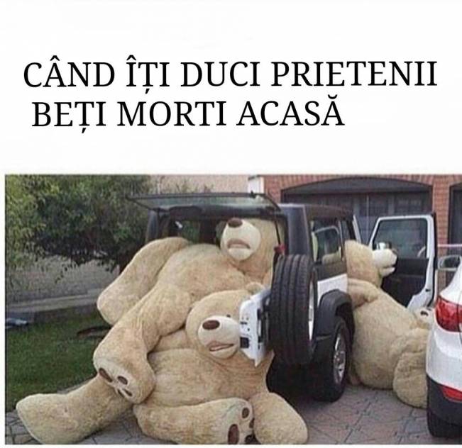 Când îţi duci acasă prietenii beţi | poze haioase